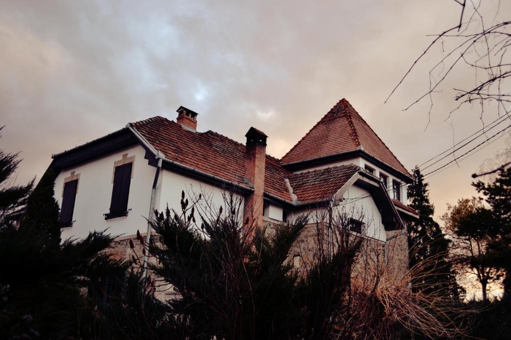 Villa Castelul Maria Banpotoc Exterior foto